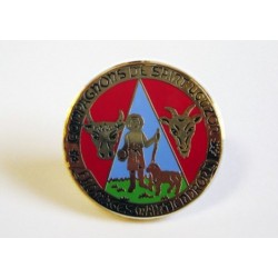 Guilde pin insignia