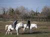 CAMARGUES26