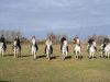 CAMARGUES56