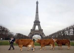 Tour Eiffel