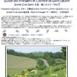 rapport_n_1_guild_club_japon