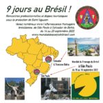 Bresil_2022_FR